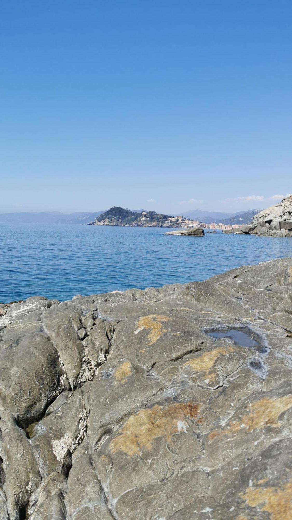 La Pergola Dei Paggi Villa Sestri Levante Eksteriør bilde
